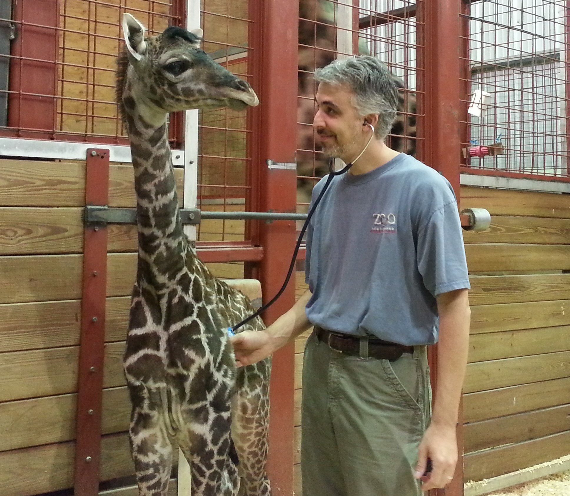 Alumni Spotlight: Eric Baitchman, DVM '00, Zoo New England